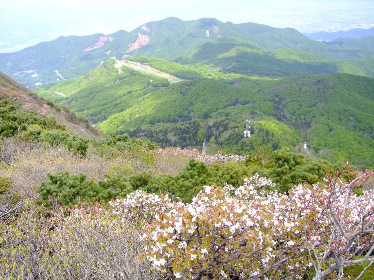 伊藤屋 Hotel Ямагата Екстериор снимка